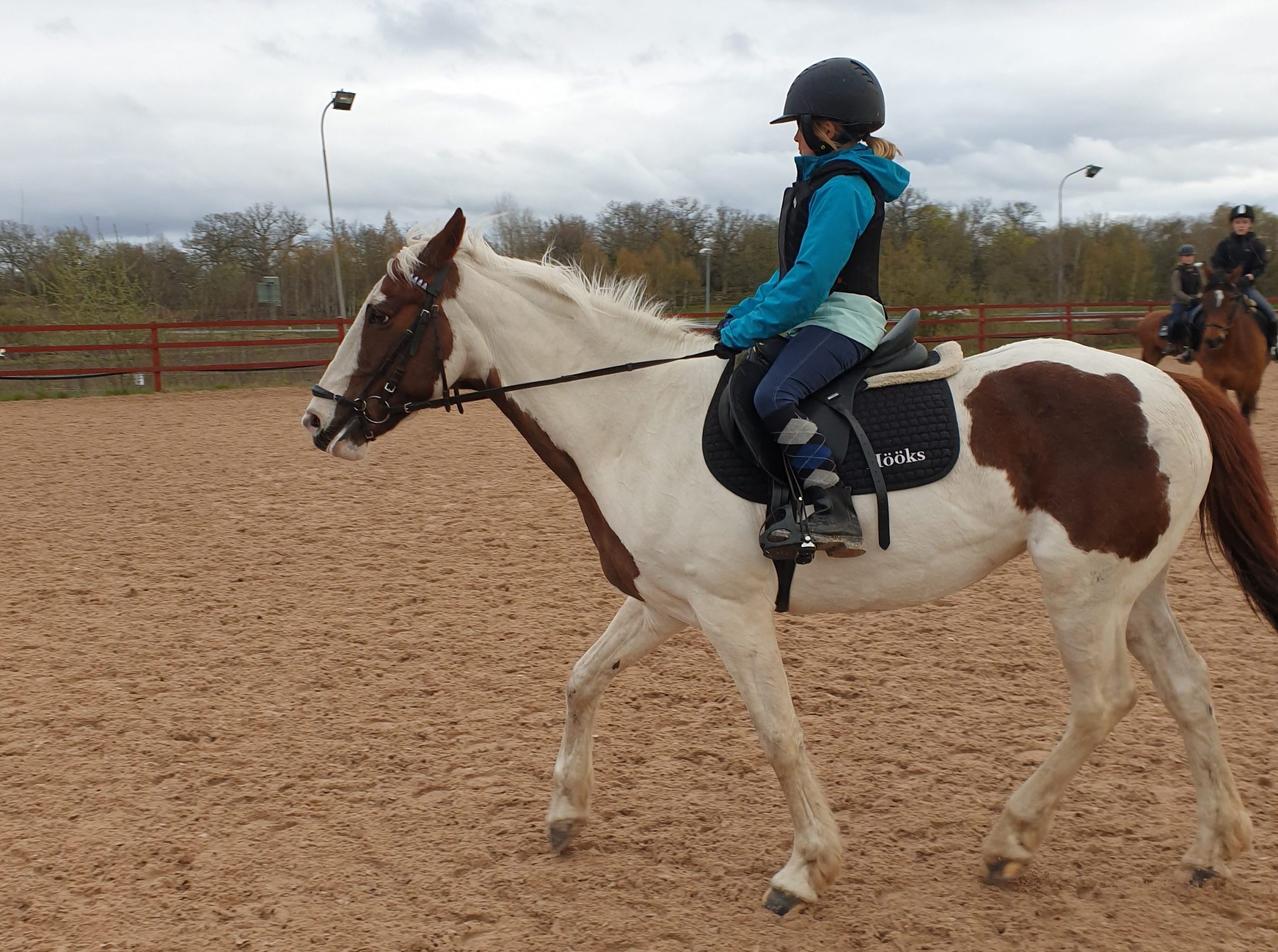 Ridlektion och en flicka som rider hästen Laura på utomhusridbanan